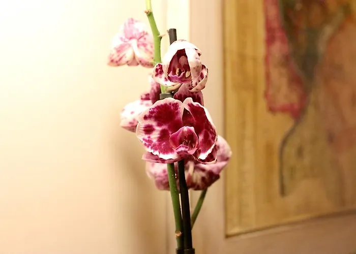 Trastevere Dream House Гостевой дом Рим